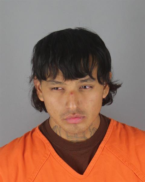 Mugshot of ROWAN DYAMI WHITE