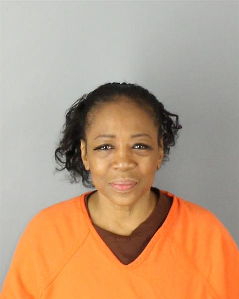 Mugshot of MELANIE VENESHA TERRY