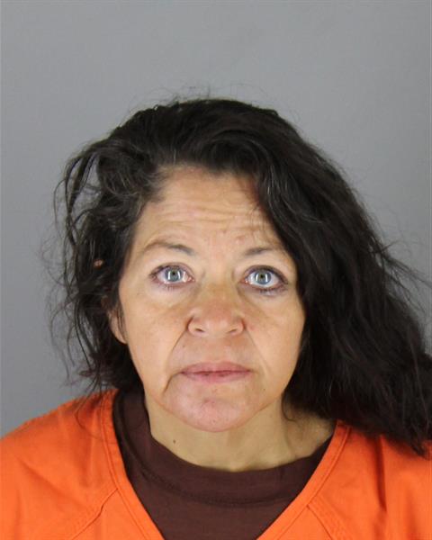 Mugshot of JENNIFER LEE PEARSON