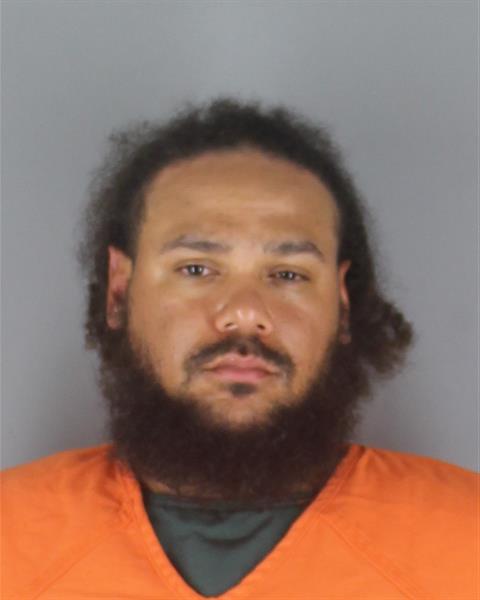 Mugshot of DION VON YOUNG