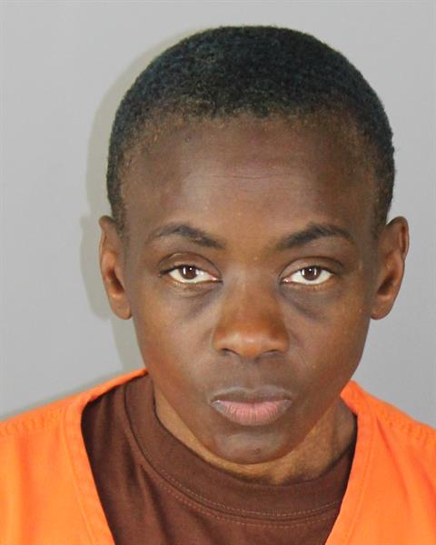 Mugshot of YOLANDA ELAINE BOWERS