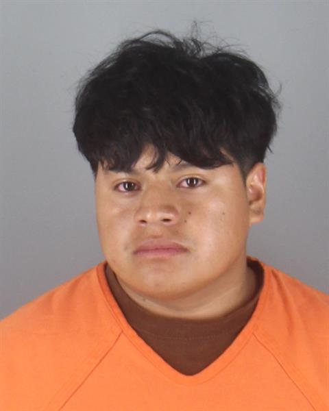 Mugshot of WILLIAN ADRIAN LEMA CASTRO