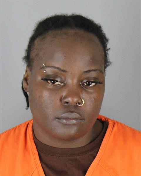 Mugshot of KAMIESHA RASHUN FLOWERS