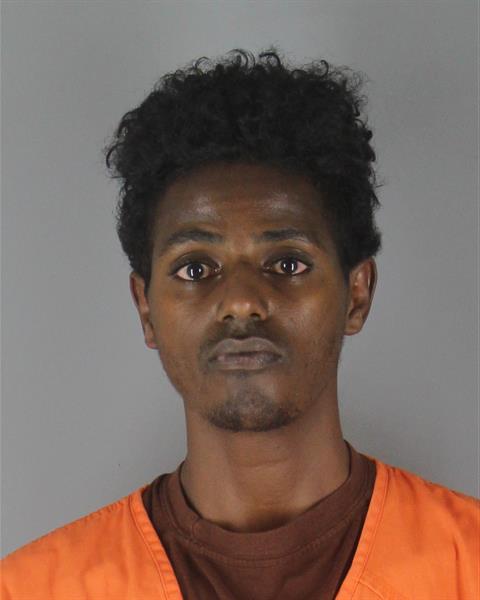 Mugshot of NAOL TILLESKJOR