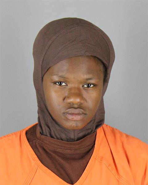 Mugshot of ANGELICA DENISE VANN