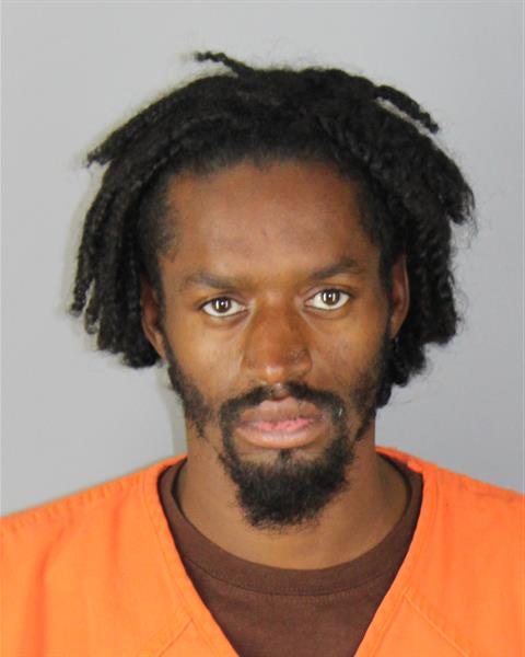 Mugshot of MALIK WILLIAMS
