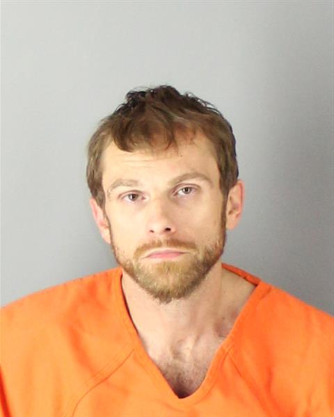 Mugshot of DARREN JAMES NELSON