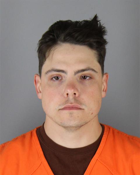 Mugshot of MITCHELL JEFFREY SCHULLO