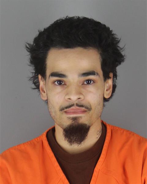 Mugshot of TREY CAMERON ELAM