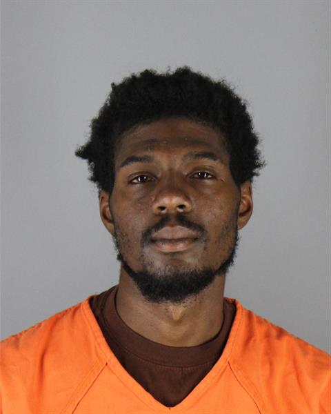 Mugshot of DEQUAWN JEMARIAN JAI ROBISON