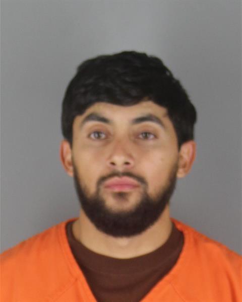 Mugshot of ISMAEL ZELEDON LUMBI