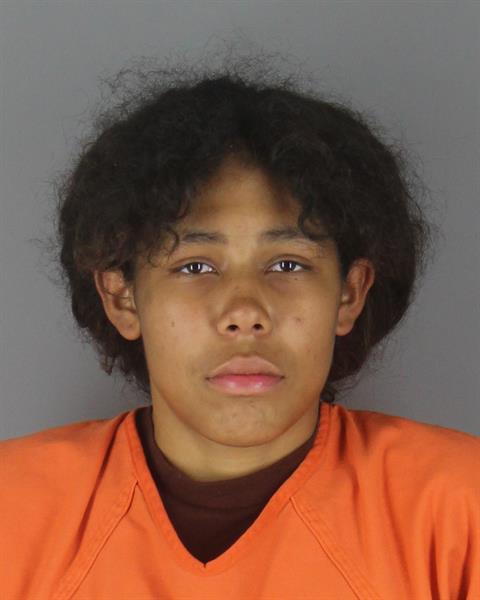 Mugshot of AIYANA CACHEA MEEKS