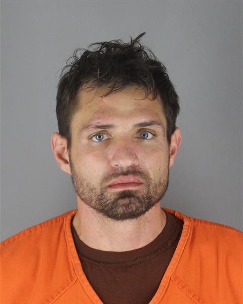 Mugshot of JON MICHAEL DAHL