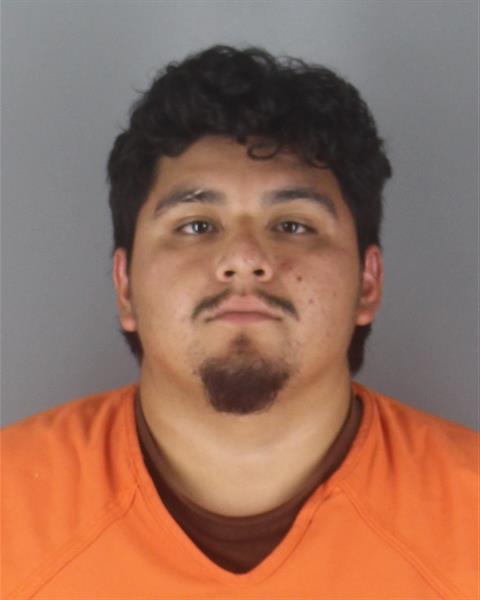 Mugshot of NELSO VILLA PENALOSA
