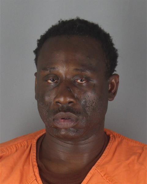 Mugshot of PARIS LANAR WILLIAMS