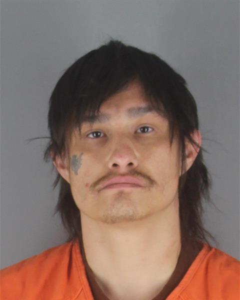 Mugshot of REX ALLEN JR BASSWOOD