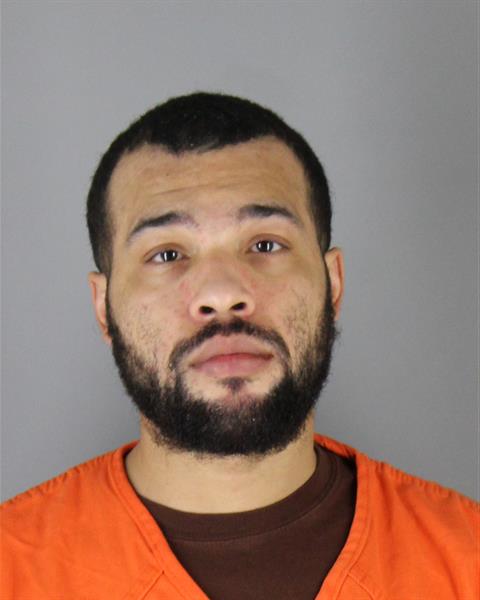 Mugshot of DAVID DEANDRE PERKINS