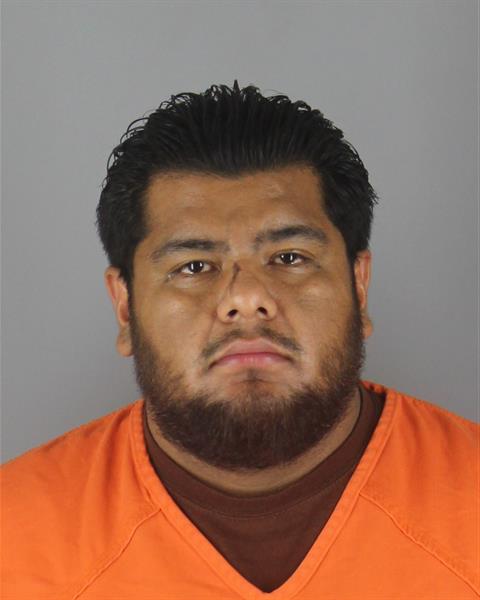 Mugshot of LUIS ENRIQUE SANCHEZ VARGAS