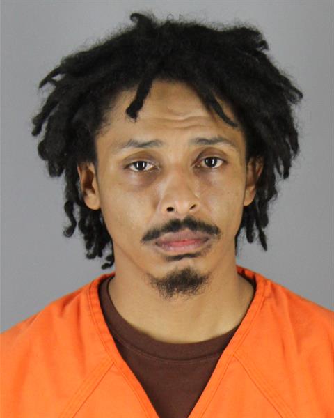 Mugshot of TERRANCE LEE RYAN