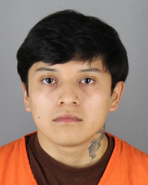 Mugshot of JUAN DAVID TENESACA LLIGUIN