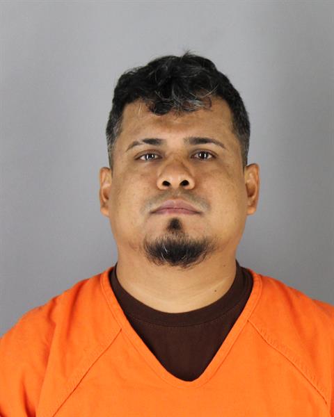 Mugshot of TIMOTEO ALARCON GOSHEZ