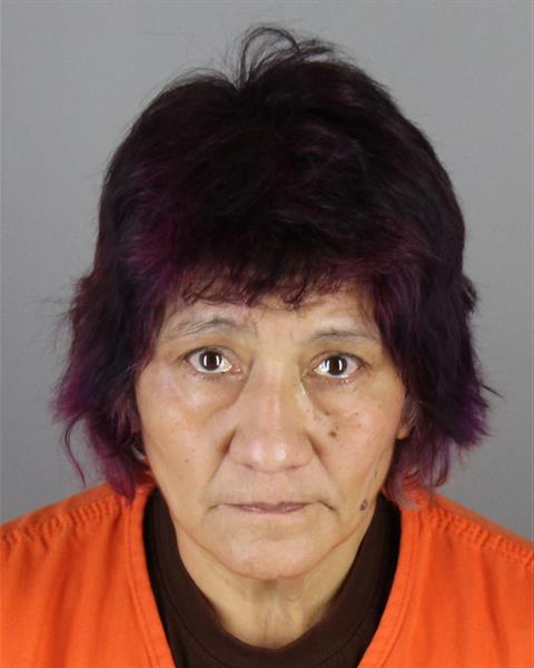 Mugshot of JOANN IRIZARRY