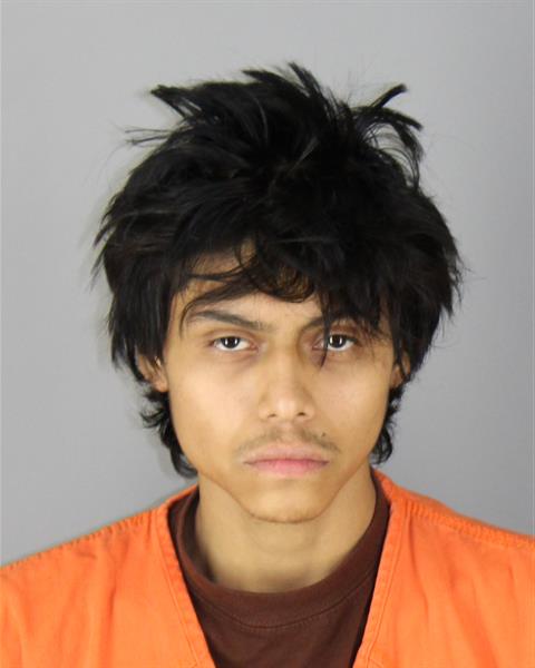 Mugshot of ANGEL DANIEL PALMA