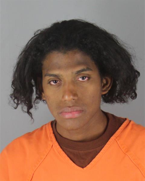Mugshot of WILLIAM NICHOLAS SILVA