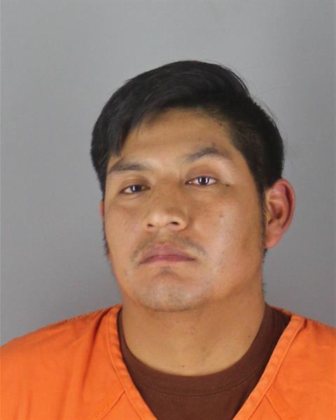 Mugshot of LUIS ALFREDO TOAPANTA ONA