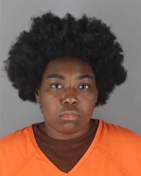 Mugshot of LADAVIA MARIE HODGES