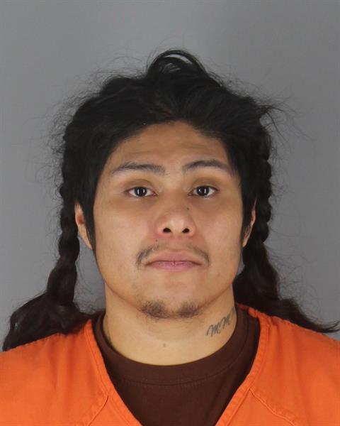 Mugshot of WILLIAM RICARDO PALMA