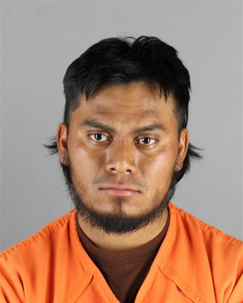 Mugshot of CESAR GEREMIAS LUX CASTRO