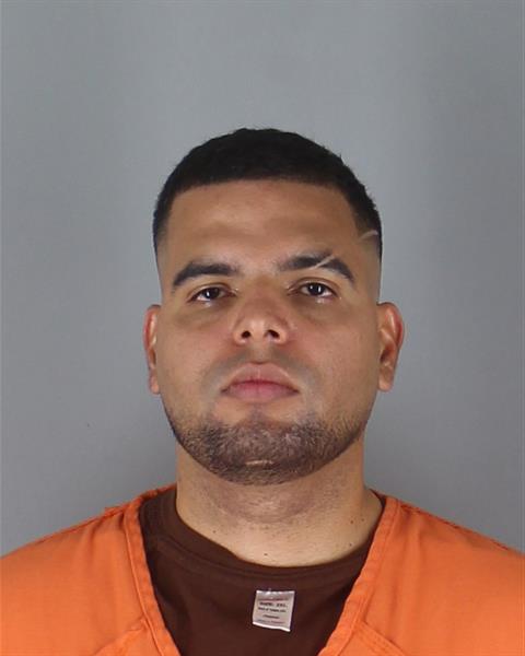Mugshot of FERNANDO ENRIQUE LEON VASQUEZ