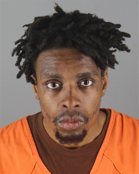 Mugshot of STEVEN LAMONT JR MCDAVID