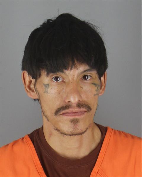 Mugshot of SHANE ALAN LOSH