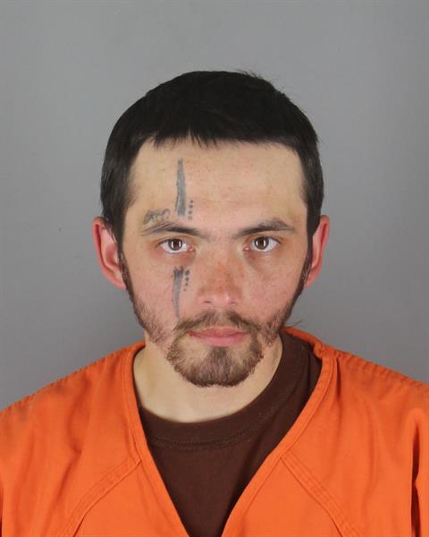Mugshot of DAMON MICHAEL FENSKE