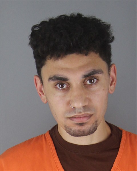 Mugshot of RAESHON LEE KAUFMANN