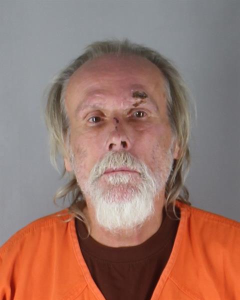 Mugshot of STEPHEN REID MCCHESNEY