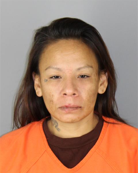 Mugshot of MISTY DAWN TWOHEARTS