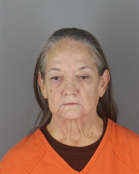 Mugshot of JILL ELAINE HOGAN