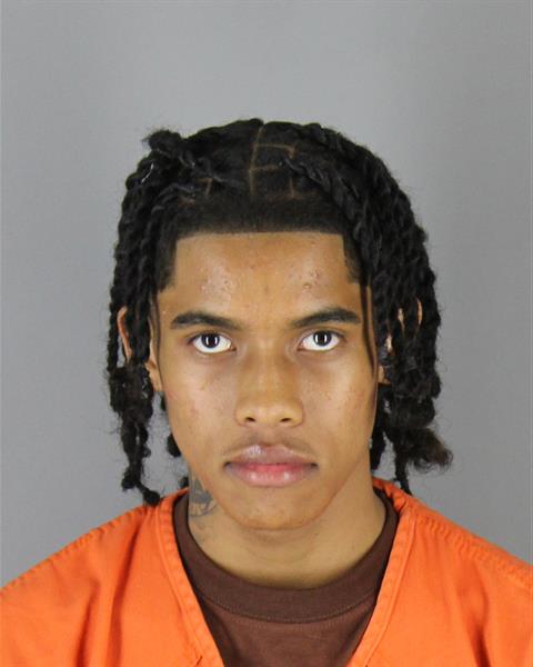 Mugshot of DAKAREE RMONI JOHNSON