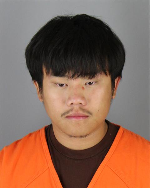 Mugshot of VONG LEE