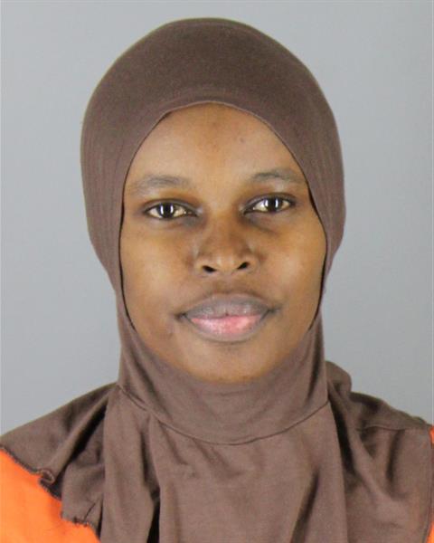 Mugshot of DIANA MORAA NYABUTO