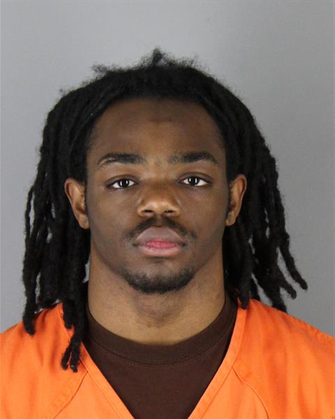 Mugshot of LAVORIS JERRY JR ROBINSON