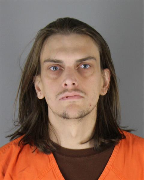 Mugshot of MICHAEL DAVID ROWLES