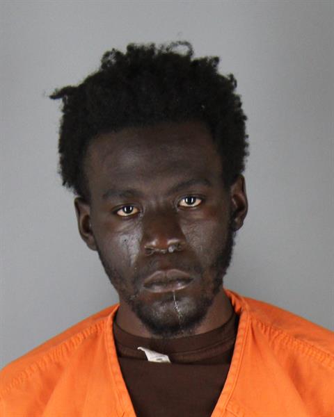 Mugshot of DONTE TIWIAN MARTIN