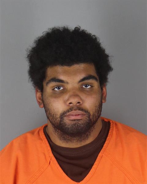 Mugshot of TERRELL ANTHONY HAUSER