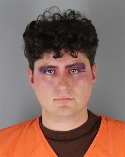 Mugshot of KHASHAYAR RAMEZANI BAJGIRAN