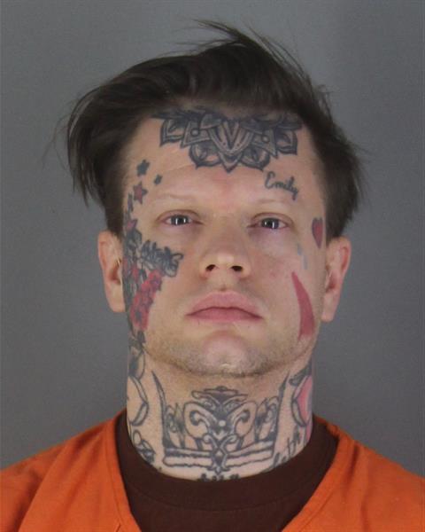 Mugshot of RYAN JOSEPH LEE HARPER