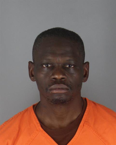 Mugshot of DANYA MANDRELL MCKINNIE